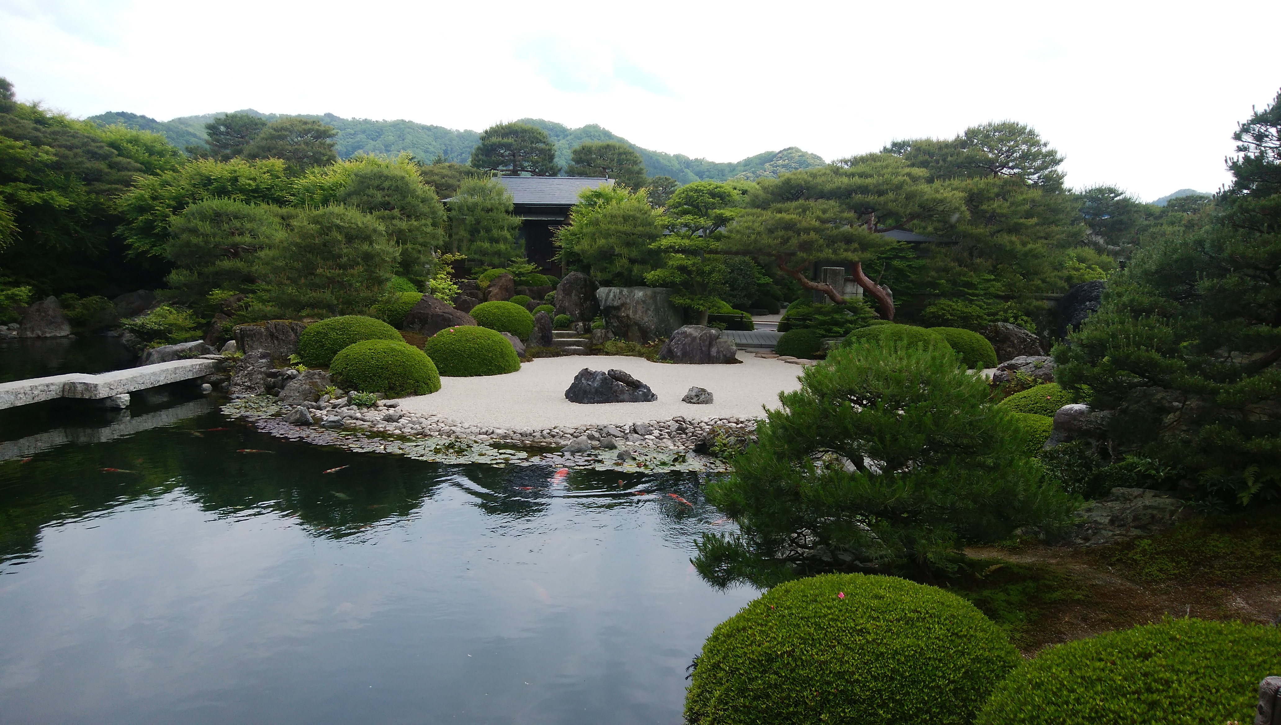 最新トレンドと現場ノウハウ