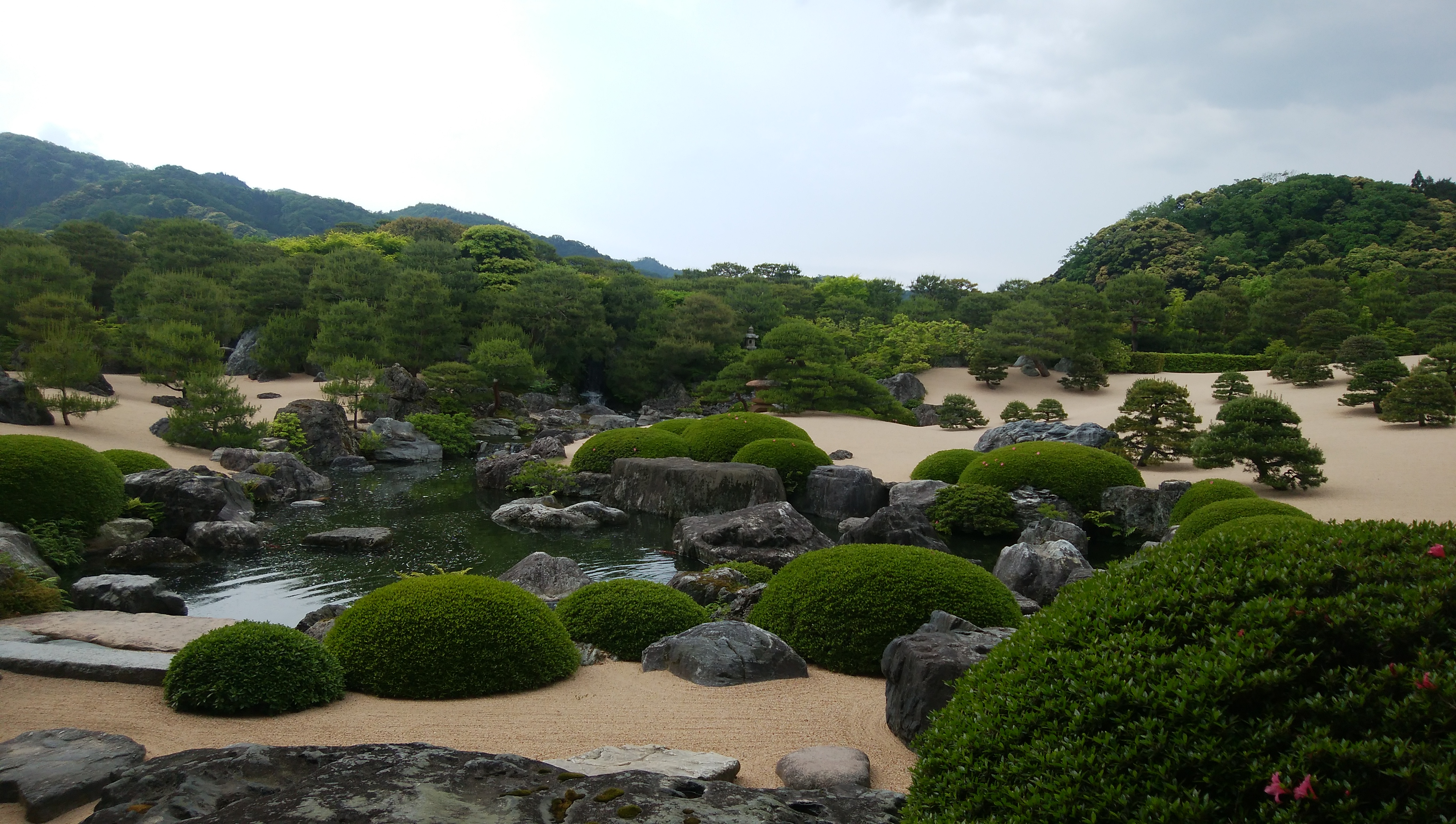 実践重視のカリキュラム